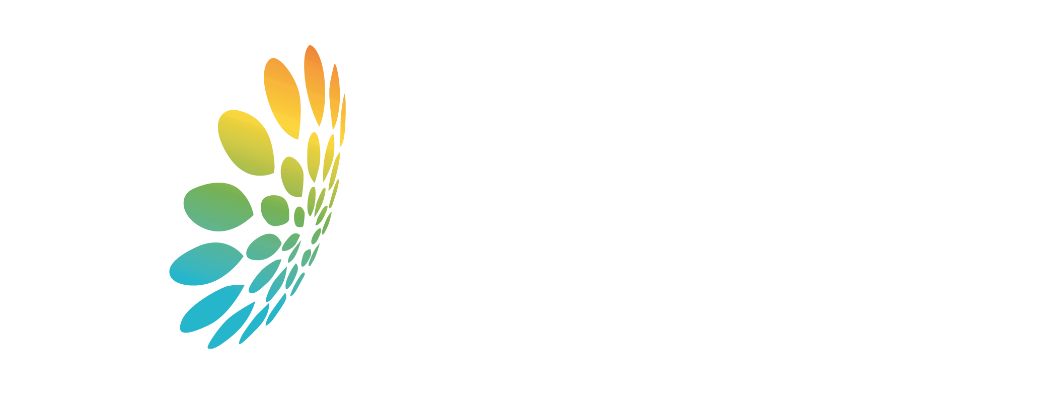 Logo ACERA