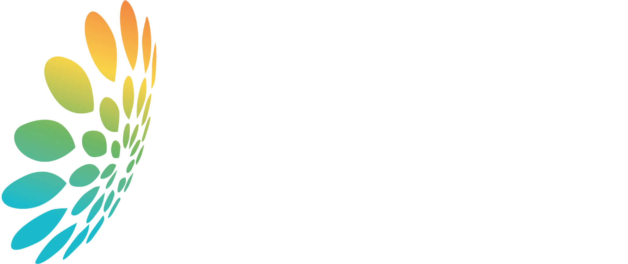 Logo ACERA